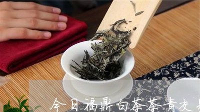 今日福鼎白茶茶青交易价格/2023040163515