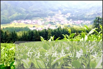 介休市福鼎白茶厂电话多少/2023040173915