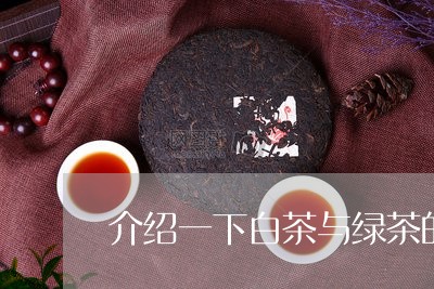 介绍一下白茶与绿茶的区别/2023040181047