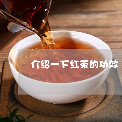 介绍一下红茶的功效/2023041789504