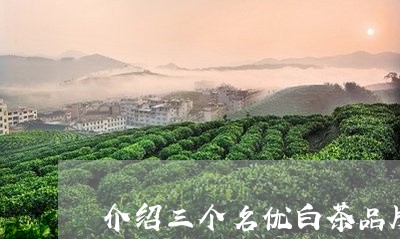 介绍三个名优白茶品牌的书/2023040187358