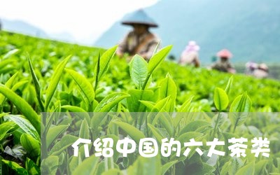 介绍中国的六大茶类/2023041738592