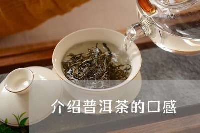 介绍普洱茶的口感/2023040981535