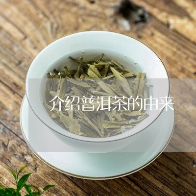 介绍普洱茶的由来/2023031740480