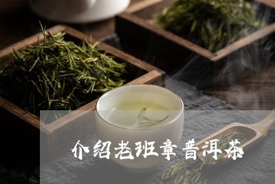 介绍老班章普洱茶/2023031771826