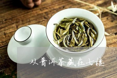 从普洱茶藏在七楼/2023033183946