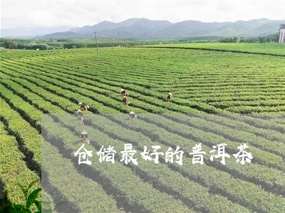 仓储最好的普洱茶/2023041242926