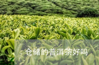 仓储的普洱茶好吗/2023041081673