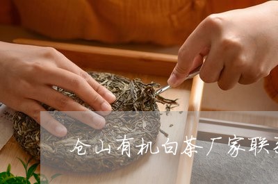 仓山有机白茶厂家联系电话/2023040192604