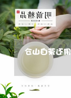 仓山白茶还用洗茶吗怎么泡/2023040124137