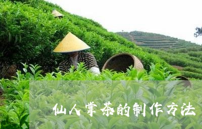 仙人掌茶的制作方法/2023032169683