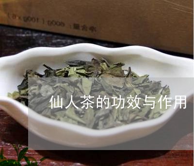 仙人茶的功效与作用/2023041798713