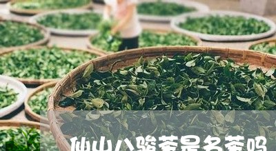 仙山八骏茶是名茶吗/2023041616836