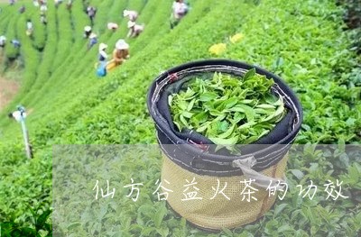 仙方谷益火茶的功效/2023032140625