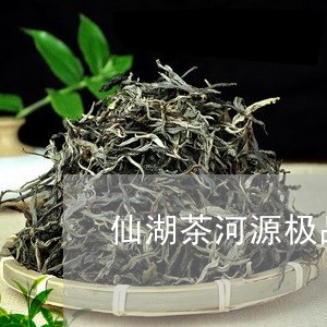 仙湖茶河源极品价格/2023041662724