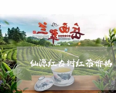 仙源红古树红茶价格/2023041786480