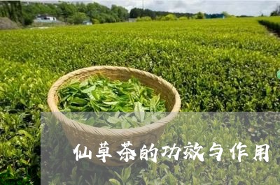 仙草茶的功效与作用/2023032135158