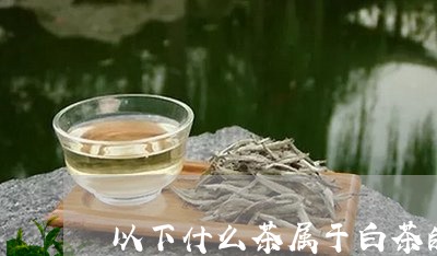 以下什么茶属于白茶的一种/2023040114150