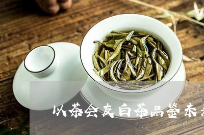 以茶会友白茶品鉴未来可期/2023040165947