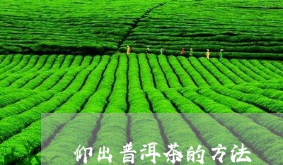 仰出普洱茶的方法/2023041161514