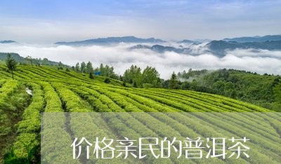 价格亲民的普洱茶/2023040126381