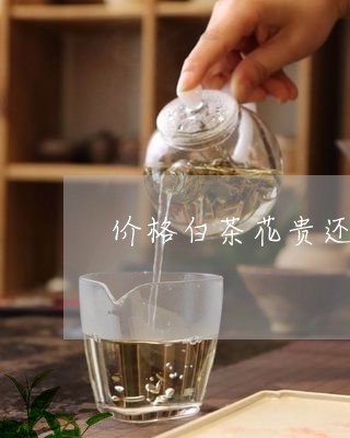 价格白茶花贵还是红茶花贵/2023040161504