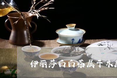 伊丽莎白白茶属于木质香吗/2023040104260