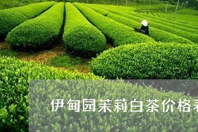 伊甸园茉莉白茶价格表图片/2023040199595