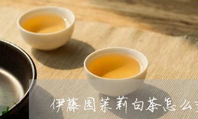 伊藤园茉莉白茶怎么变好喝/2023040176050