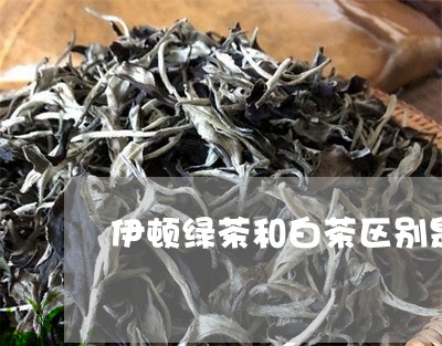 伊顿绿茶和白茶区别是什么/2023040130514