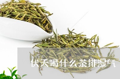 伏天喝什么茶排湿气/2023041565148