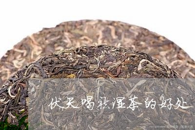 伏天喝祛湿茶的好处/2023032129625