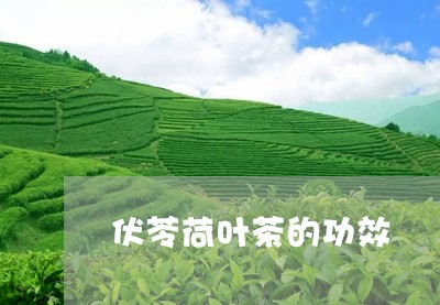 伏苓荷叶茶的功效/2023032585048