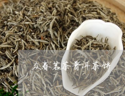 众春茗茶普洱茶饼/2023040106572