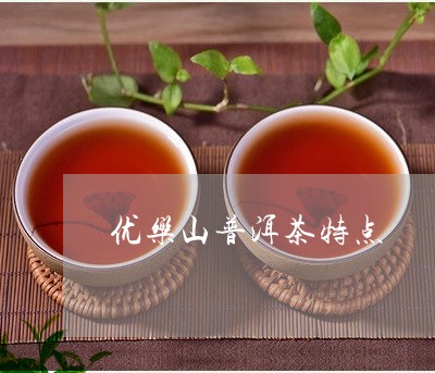 优乐山普洱茶特点/2023041098603