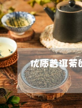 优质普洱茶的功效/2023041293045