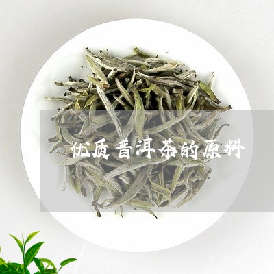 优质普洱茶的原料/2023040937392