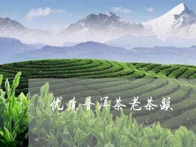 优质普洱茶老茶头/2023031679714