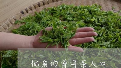 优质的普洱茶入口/2023041086039