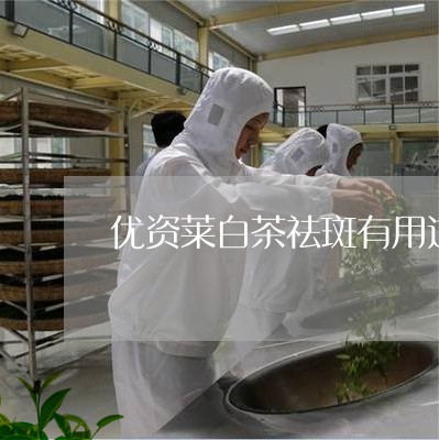 优资莱白茶祛斑有用过的吗/2023040150824