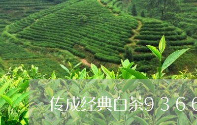 传成经典白茶9366价格/2023033148271