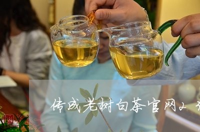 传成老树白茶官网2300/2023033055946