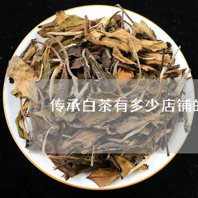 传承白茶有多少店铺的名称/2023040114048