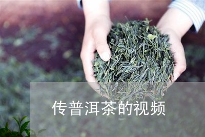 传普洱茶的视频/2023041329695