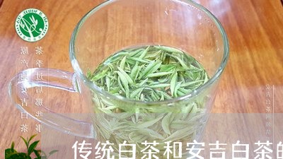 传统白茶和安吉白茶的区别/2023040128404