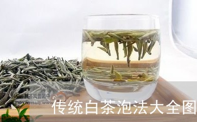 传统白茶泡法大全图片视频/2023040108260