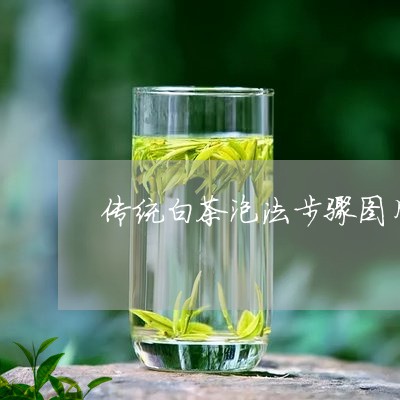 传统白茶泡法步骤图片大全/2023040110926