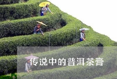 传说中的普洱茶膏/2023033134037