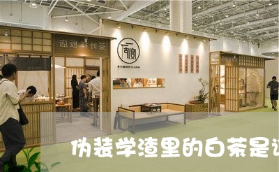 伪装学渣里的白茶是谁演的/2023040162037