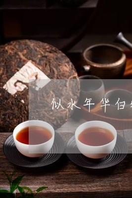 似水年华白牡丹茶价格图片/2023040164948